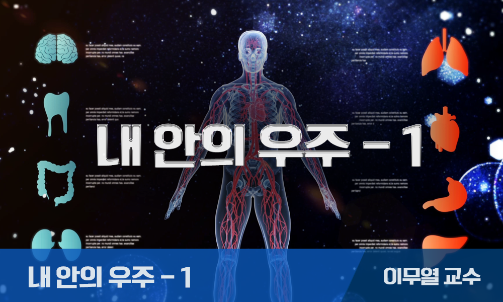 내 안의 우주: 인체 구조와 기능 1 개강일 2016-12-19 종강일 2017-02-20 강좌상태 종료